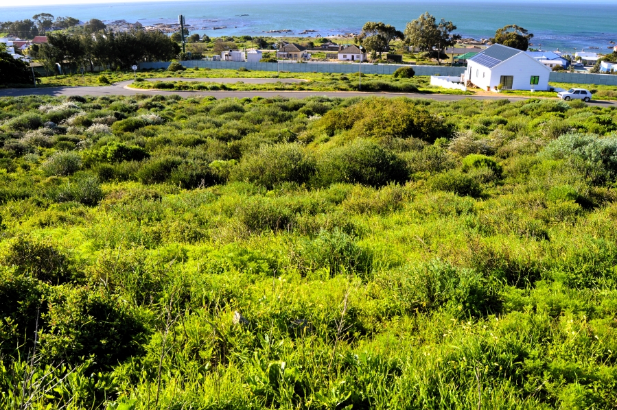 0 Bedroom Property for Sale in Steenbergs Cove Western Cape